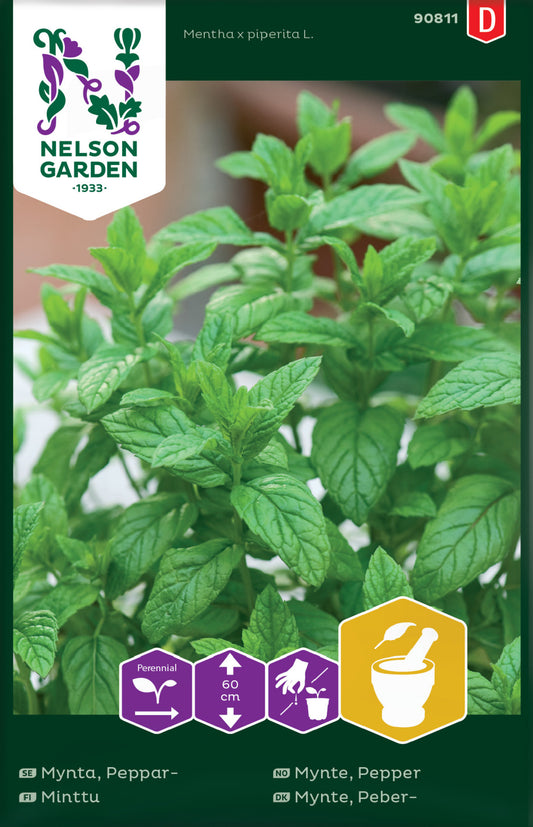 Mynta, Peppar-