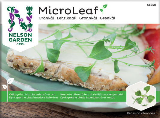 Micro Leaf grönKål