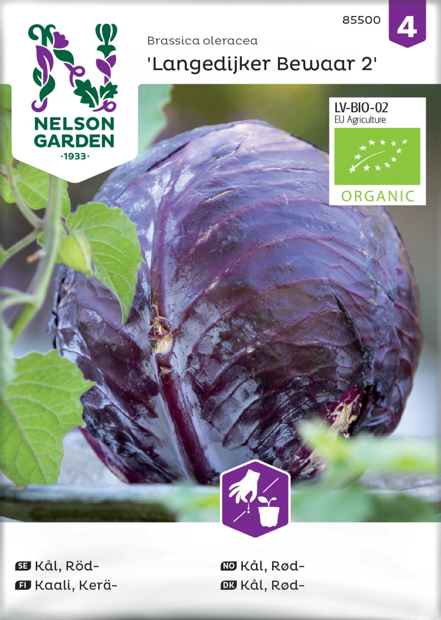 Kål, Röd-, Langedijker Bewaar 2, Organic
