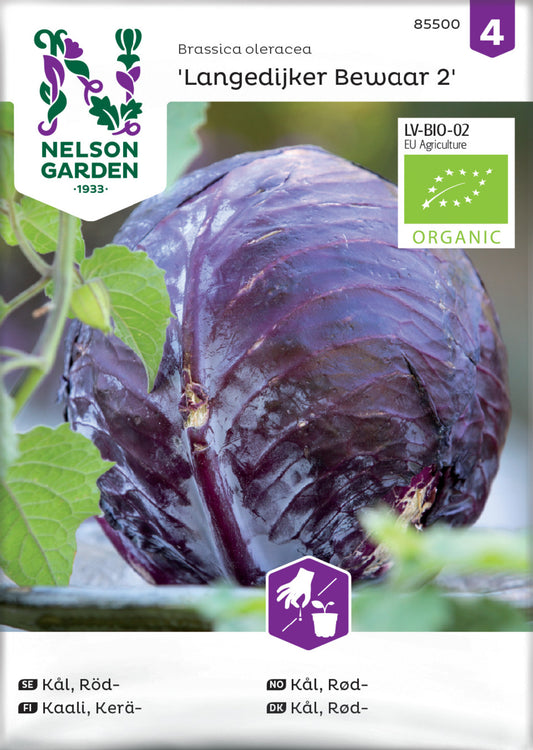 Kål, Röd-, Langedijker Bewaar 2, Organic