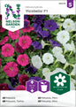 Petunia, Fantasy F1, mini, bl färger