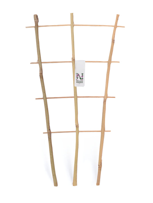Krukspaljé bambu 60cm