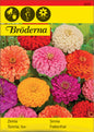Zinnia, Hög, bl färger