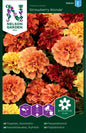 Tagetes, Sammets-, 'Strawberry Blonde'