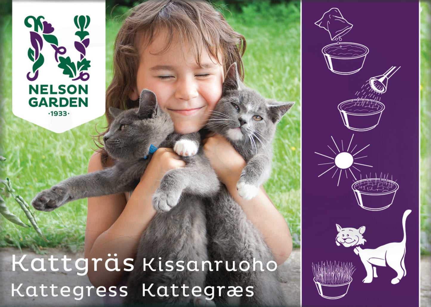 Kattgräs HD