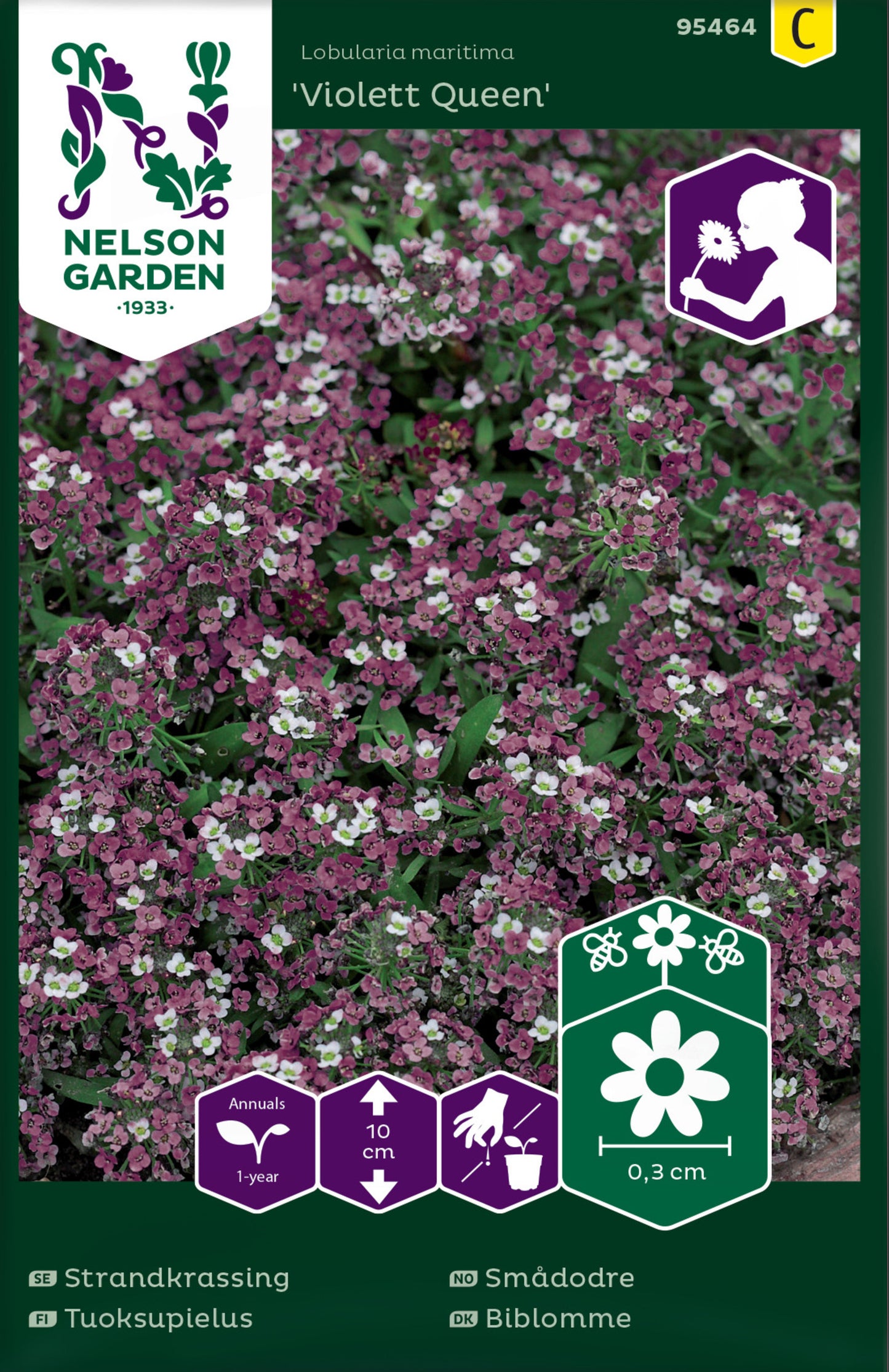 Strandkrassing, Violett Queen