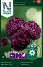 Vallmo, Pion-, Black Peony