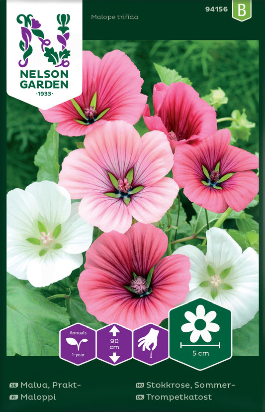 Malva, Prakt-, bl färger