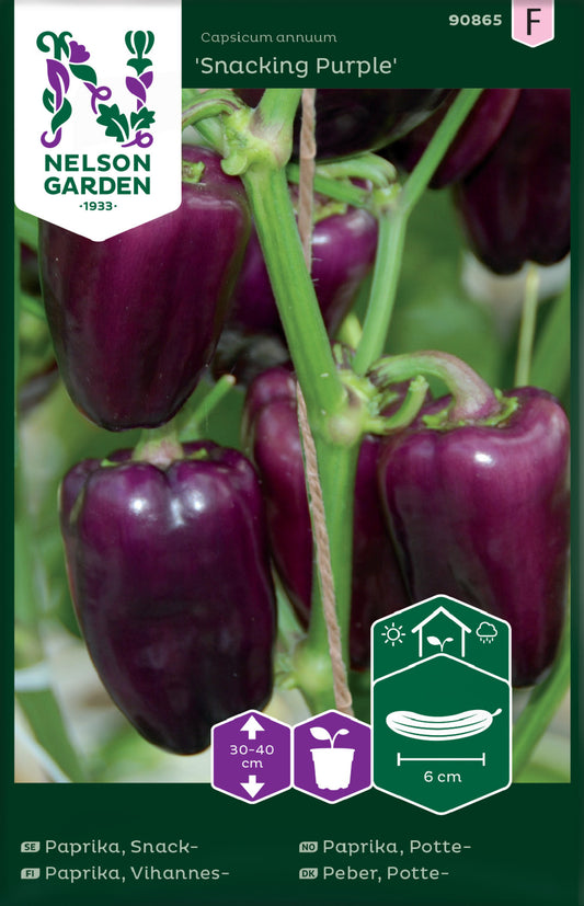 Paprika, Snack-, Snacking Purple