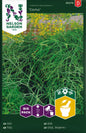 Dill, Vanlig, Como, Big Pack