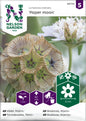Vädd, Stjärn-, Paper moon