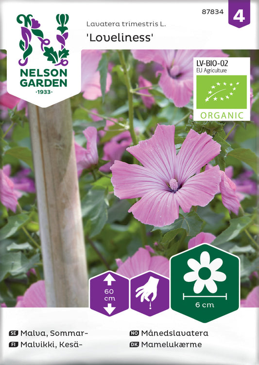 Malva, Sommar-, Loveliness, Organic