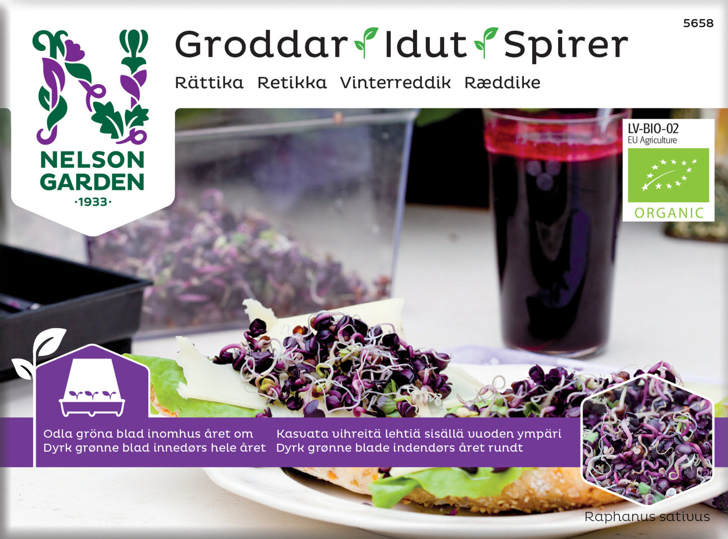 Groddar rättika Organic
