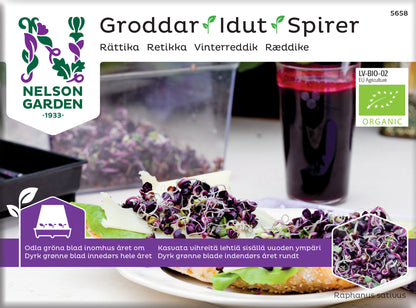 Groddar rättika Organic
