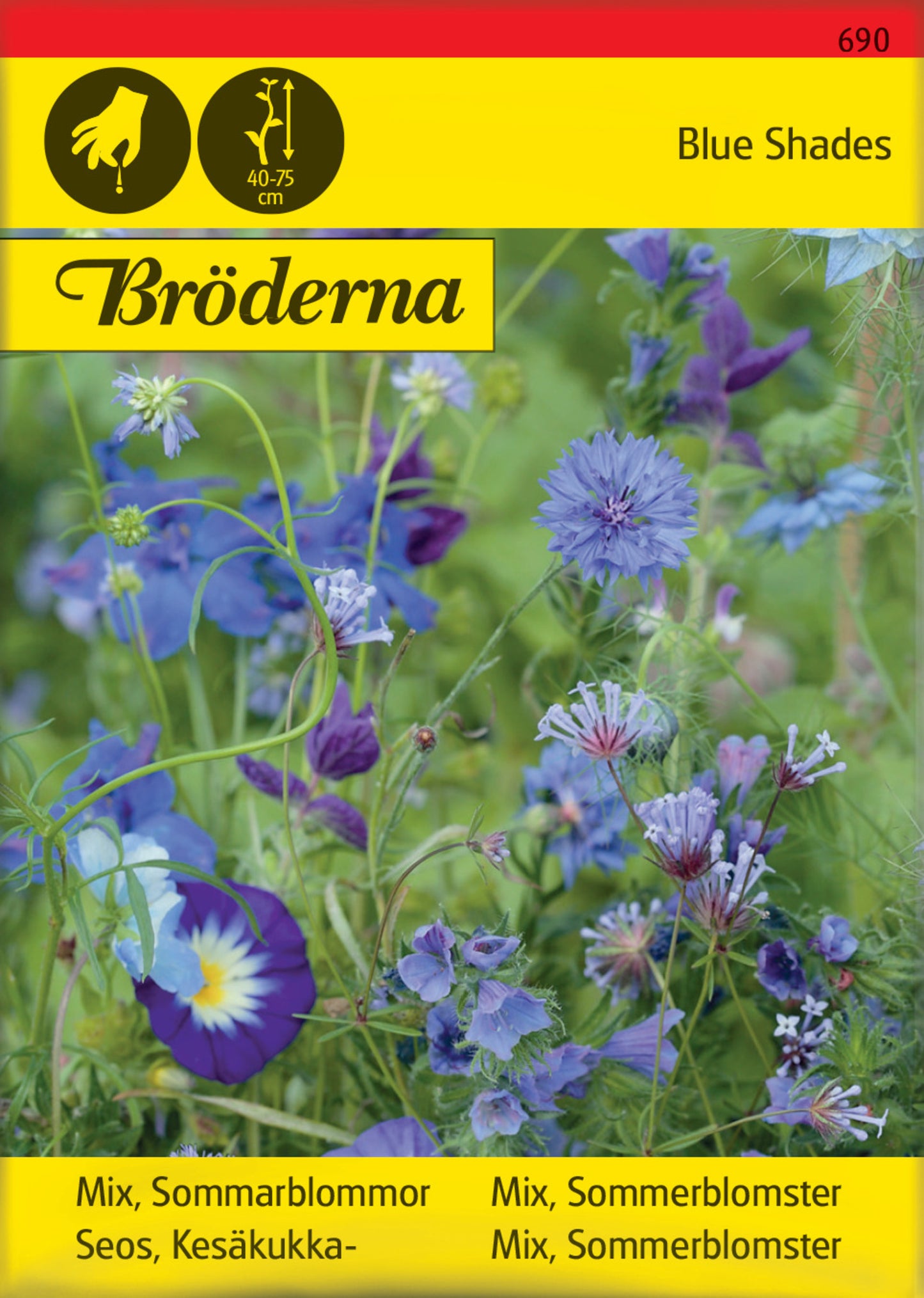 Mix, Sommarblommor, blå