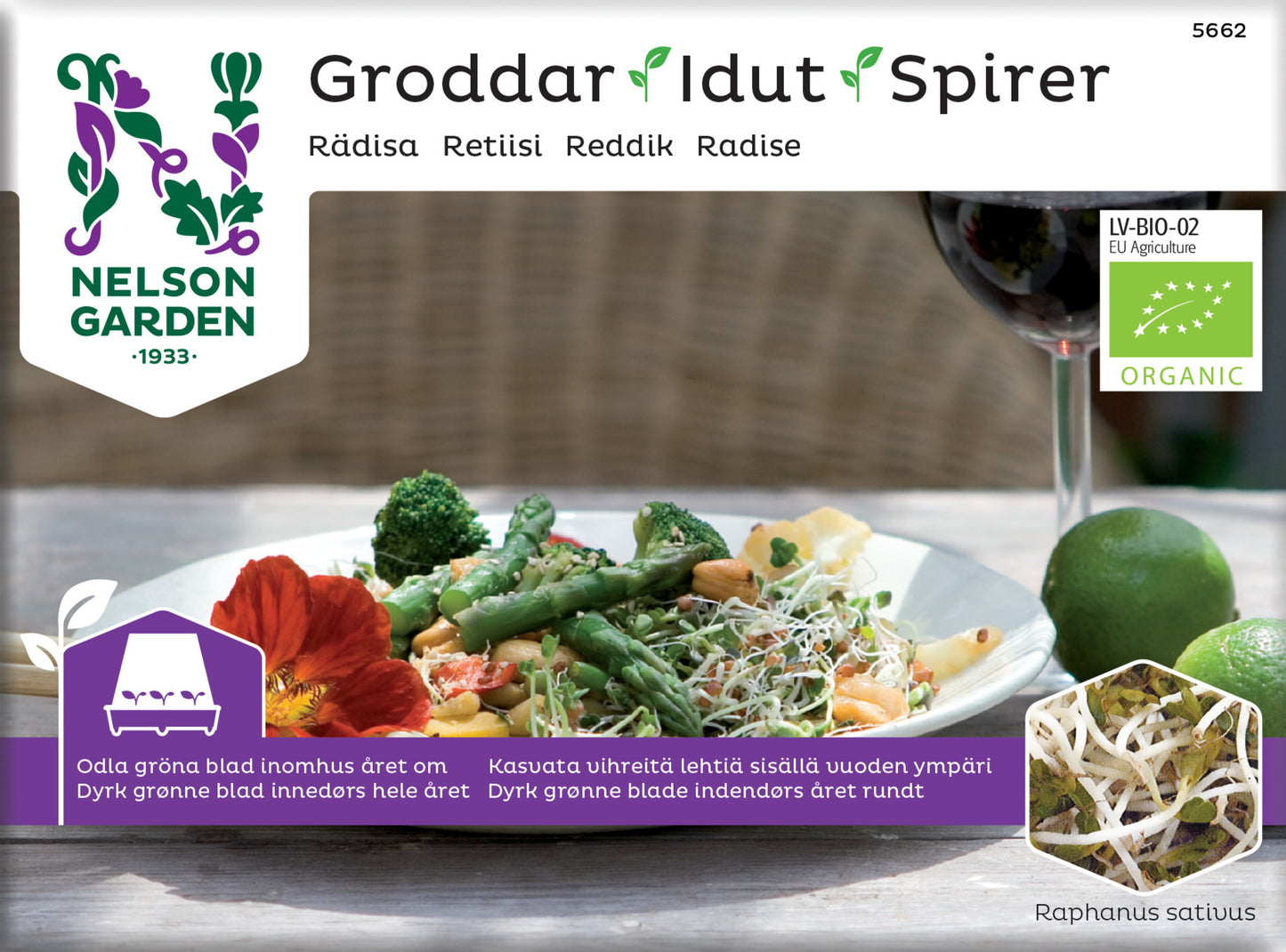 Groddar rädisa Organic