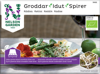 Groddar rädisa Organic