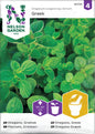 Oregano, Grekisk