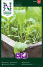 Rucola / Sandsenap, Venetia