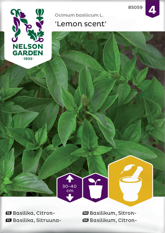 Basilika, Citron-, Lemon scent