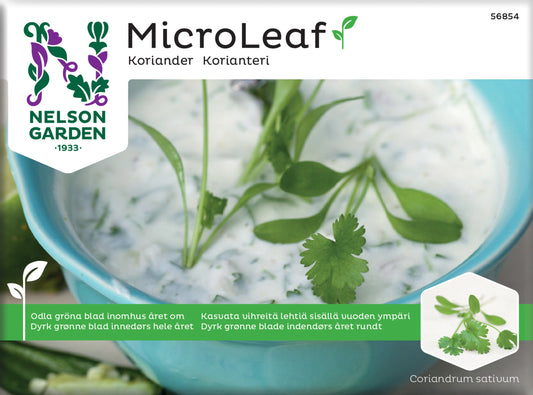 Micro Leaf koriander