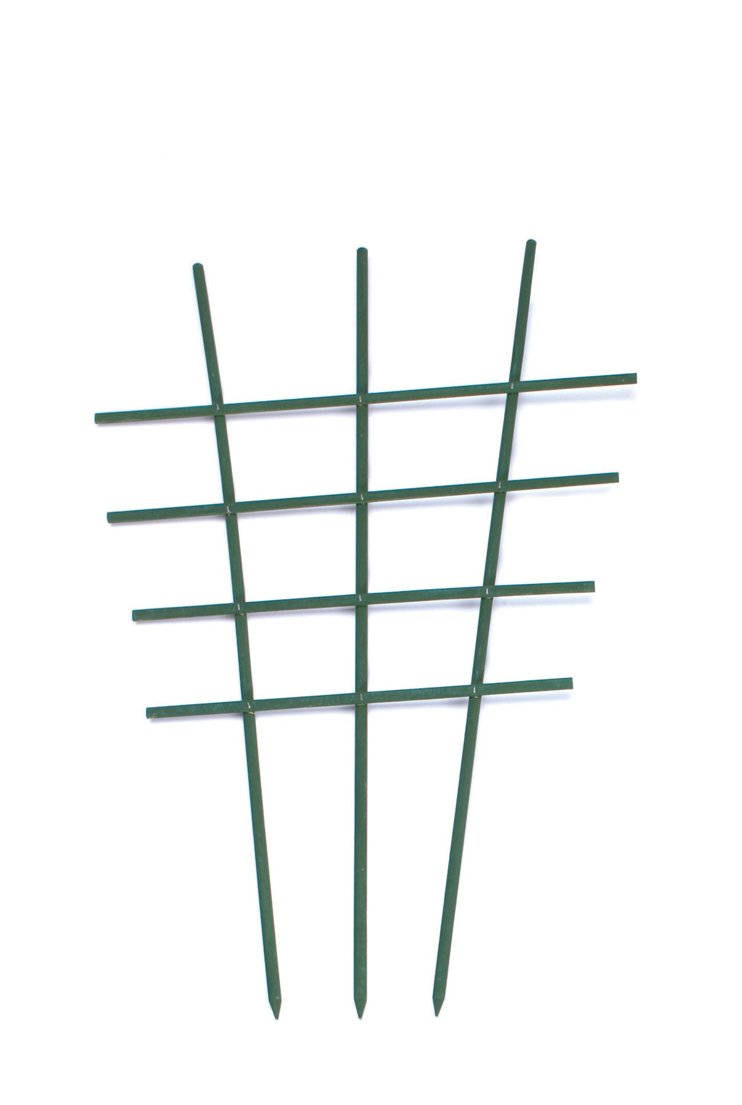 Krukspaljé trä grön 60cm