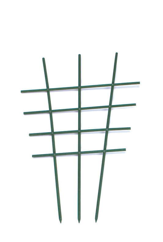 Krukspaljé trä grön 60cm
