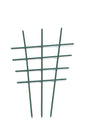 Krukspaljé trä grön 60cm