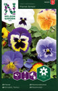 Pensé, Florist Strain, storbl. bl färger