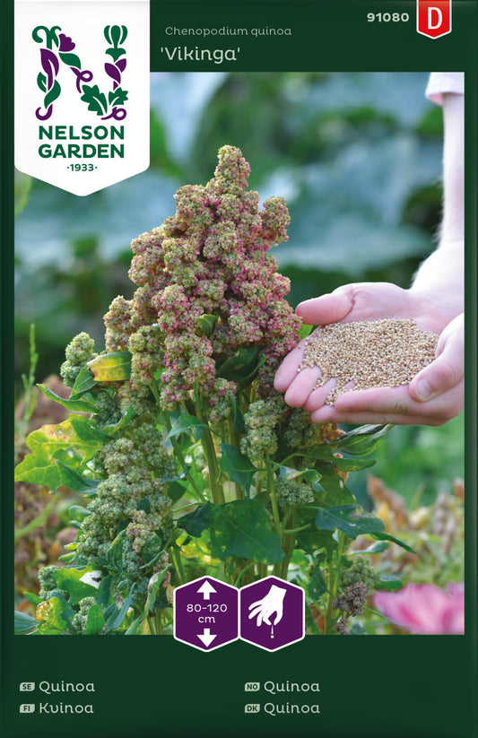 Quinoa, Vikinga