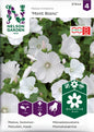 Malva, Sommar-, Mont Blanc, vit
