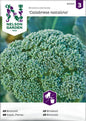 Broccoli, Calabrese natalino