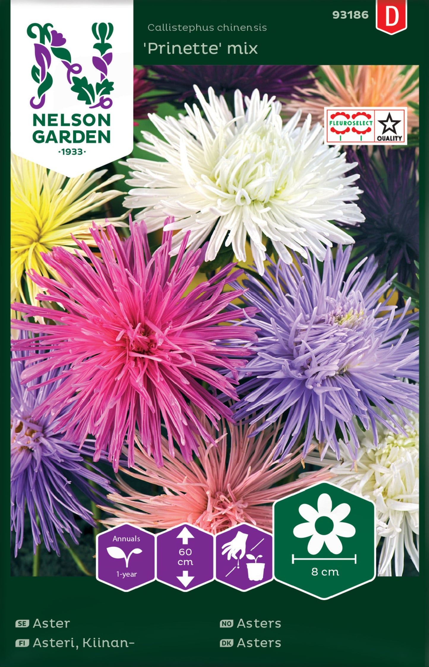 Aster, Strål-, Prinette, bl färger