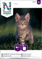 Kattgräs