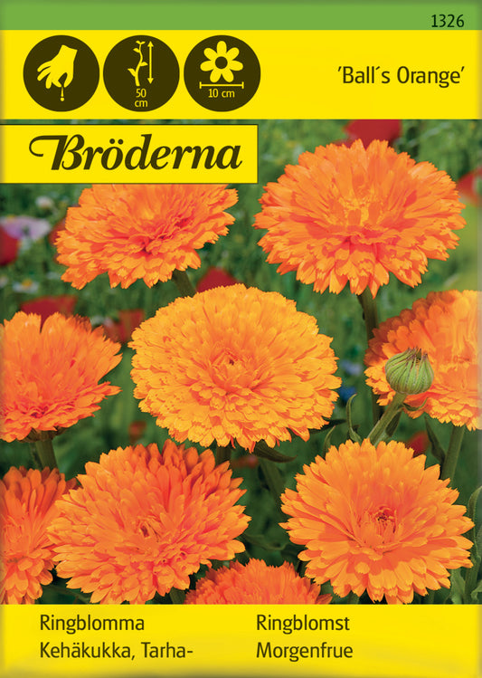 Ringblomma, Ball´s Orange