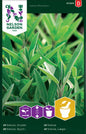 Salvia, Krydd-