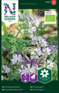 Honungsfacelia, blå, Organic