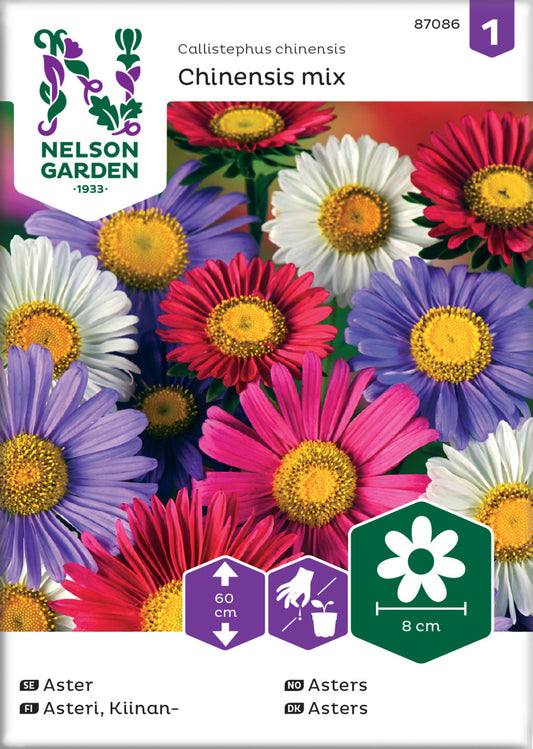 Aster, Enkel, bl färger