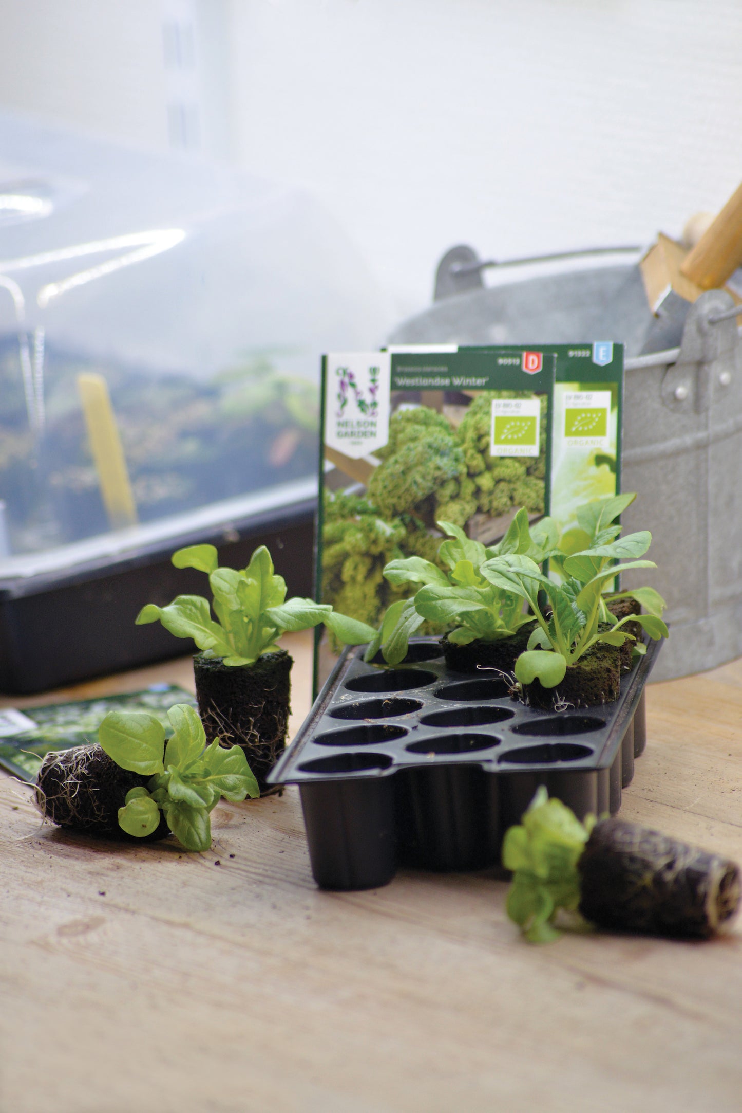 Odlingsplugg 14-Pack