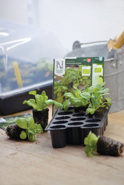 Odlingsplugg 14-Pack