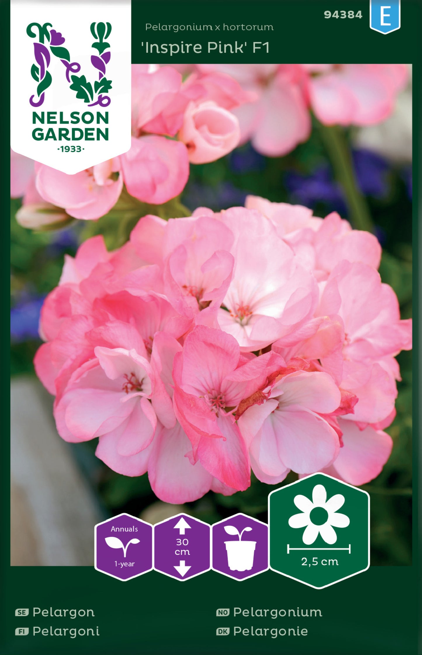 Pelargon, Inspire Pink F1, rosa