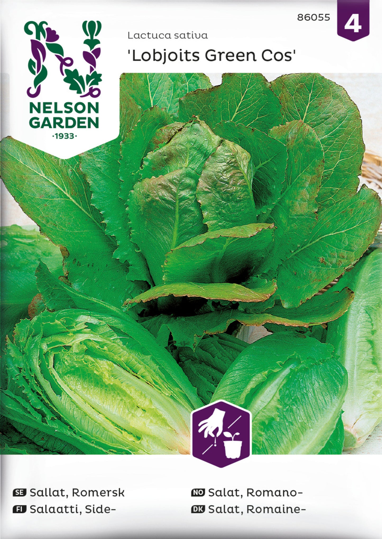 Sallat, Romersk-, Lobjoits Green Cos