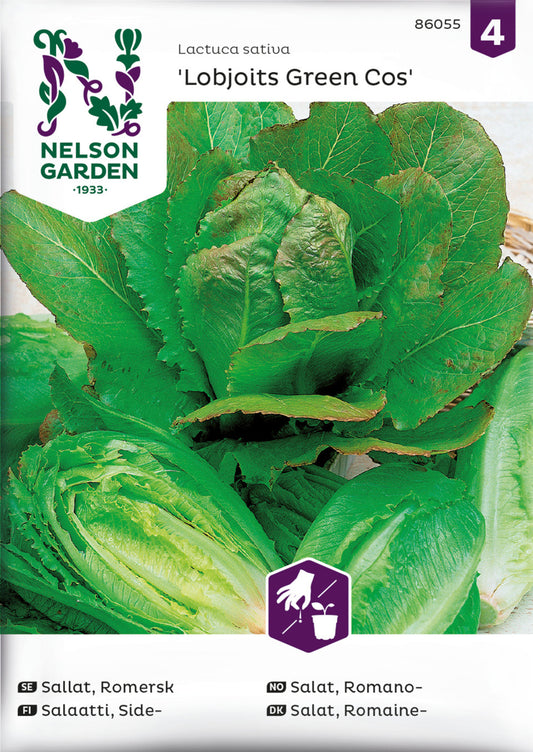 Sallat, Romersk-, Lobjoits Green Cos