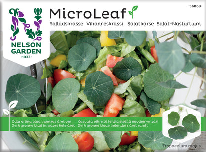 Micro Leaf salladskrasse