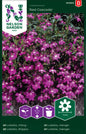 Lobelia, Häng-, Red Cascade