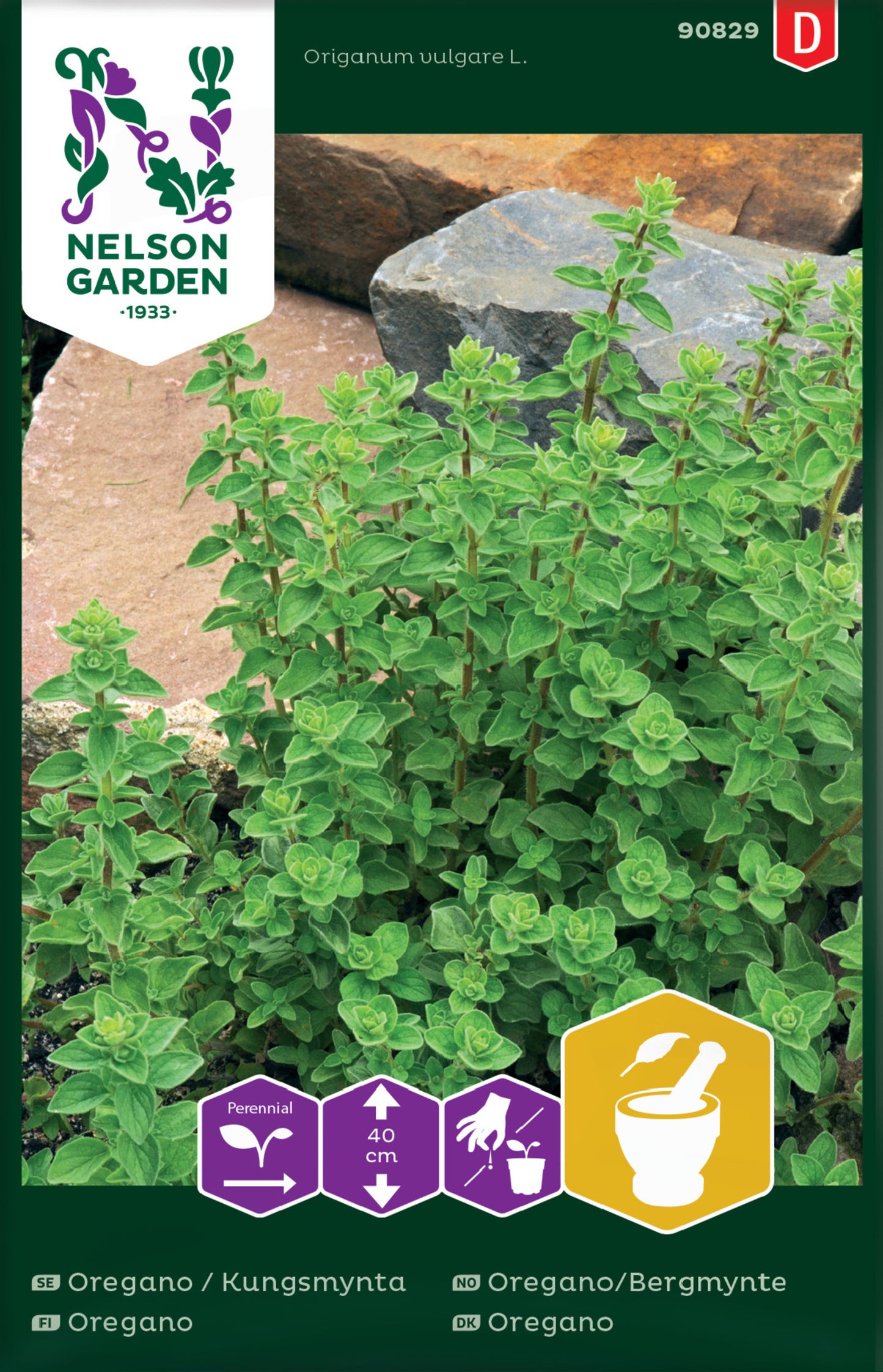 Oregano, Kungsmynta