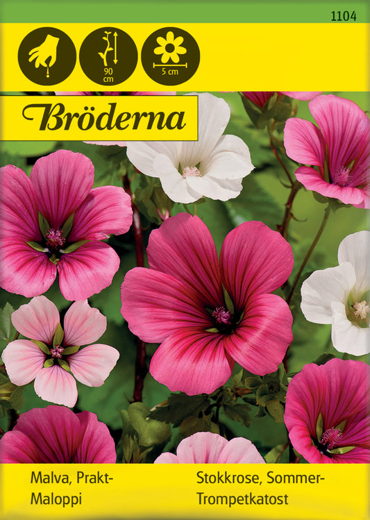 Malva, Prakt-, bl färger