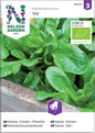 Sallat, Vinter- / Mache, Vit, Organic