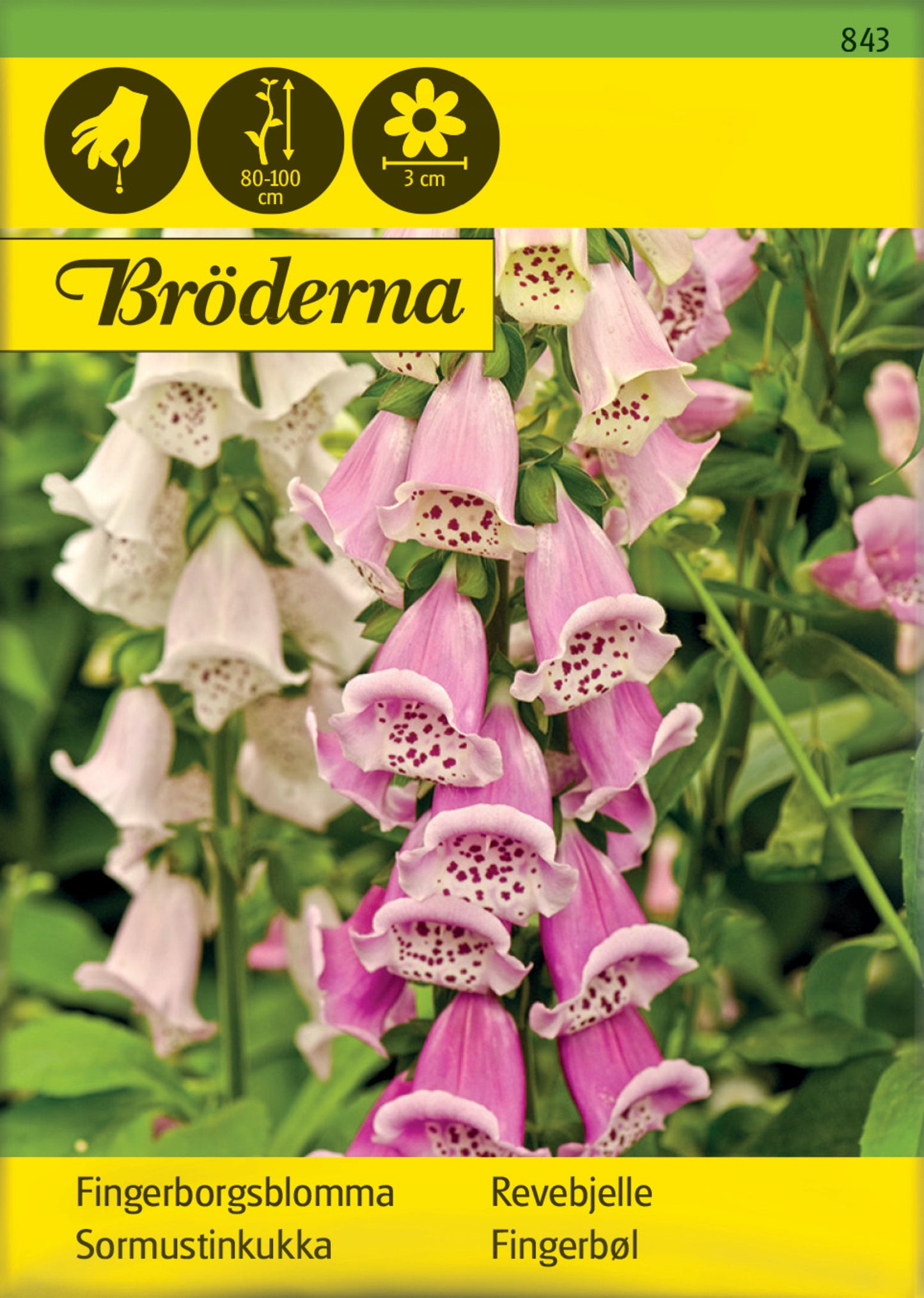 Fingerborgsblomma, bl färger