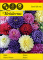 Aster, Dubbel, bl färger